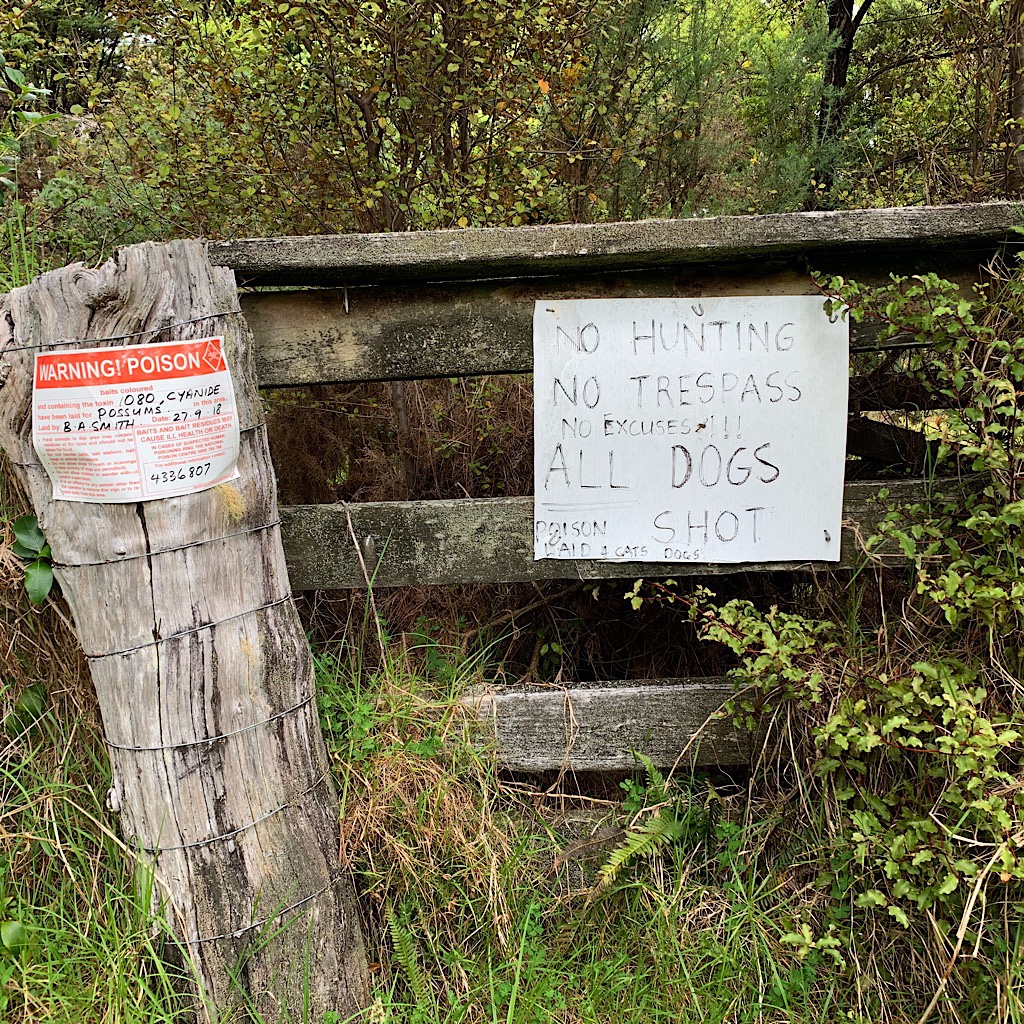 No hunting. No trespassing. No exception. All dogs shot.