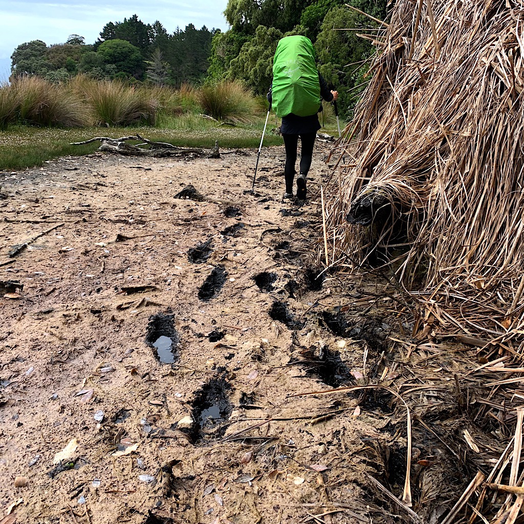 We're never far from the mud in New Zealand.