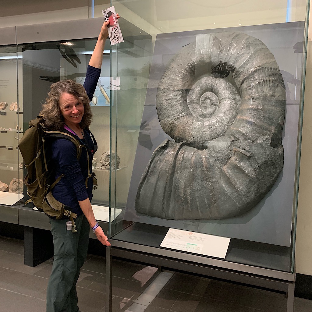 Blissful next to a massive ammonite fossil at the War Memorial Museum in Auckland. 