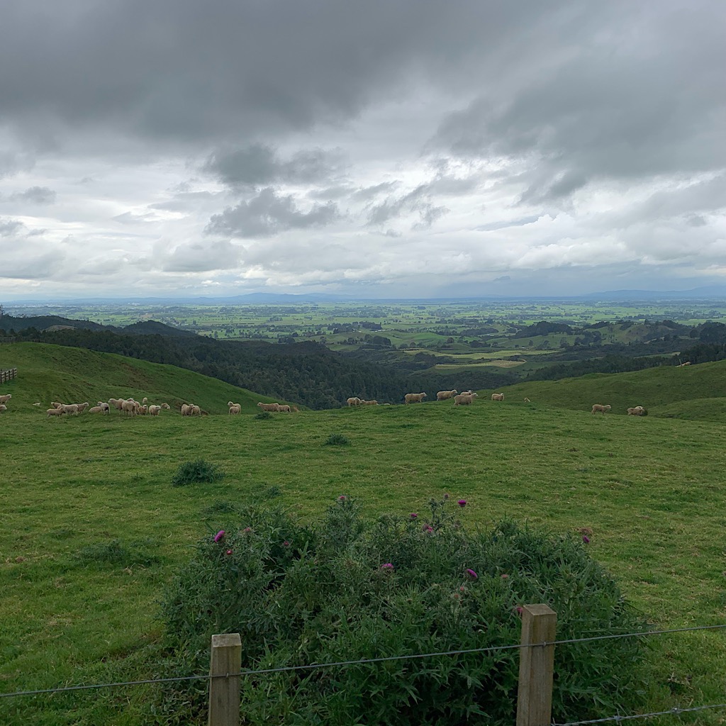 Just below the clouds in the Kapamahunga Hills near Pirongia. 