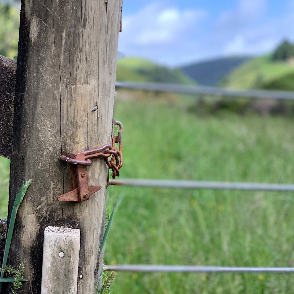 An old fashioned bit of hardware that still holds the gate in place. We were asked to ensure we closed all gates when passing through private land. 