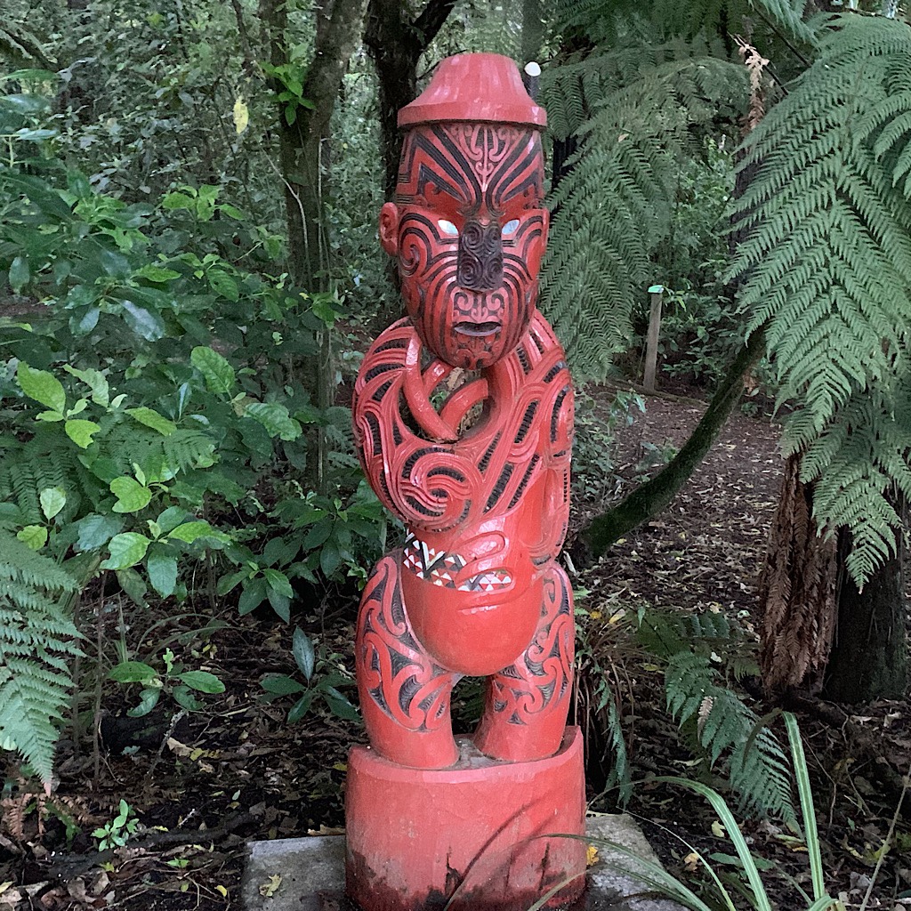 A Maori statue welcomes the hiker – and biker  – to the start of the Timber Trail, one of the finest extant podacarp forests in New Zealand. 