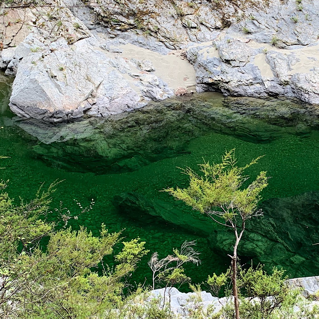 The clear, deep emerald pools of the Pelorus River.