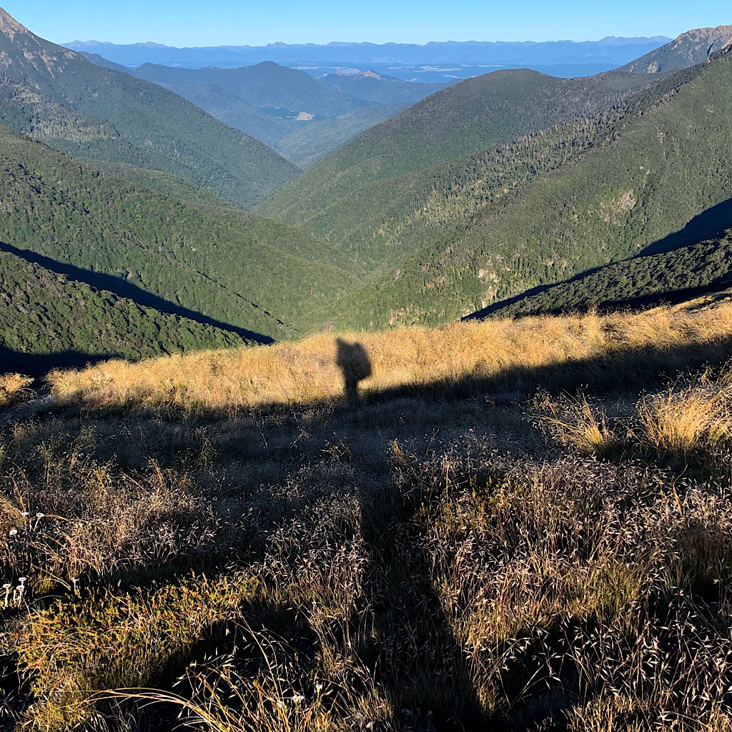 All alone in the early morning on Old Man Ridge in the Richmond Range. 