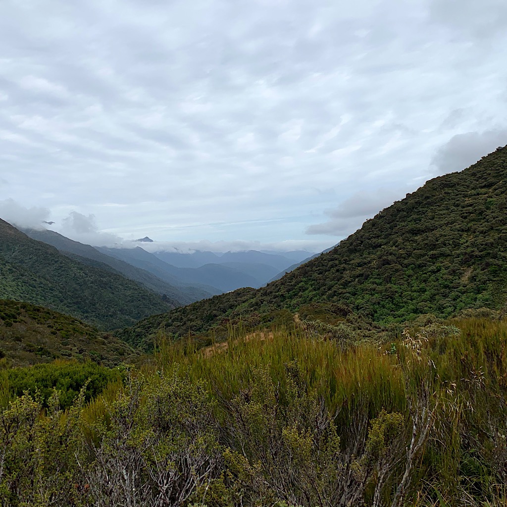 At first the trail was easy through manuaka scrib towards the Upper Taramakau River and Goat Pass in the distance. 