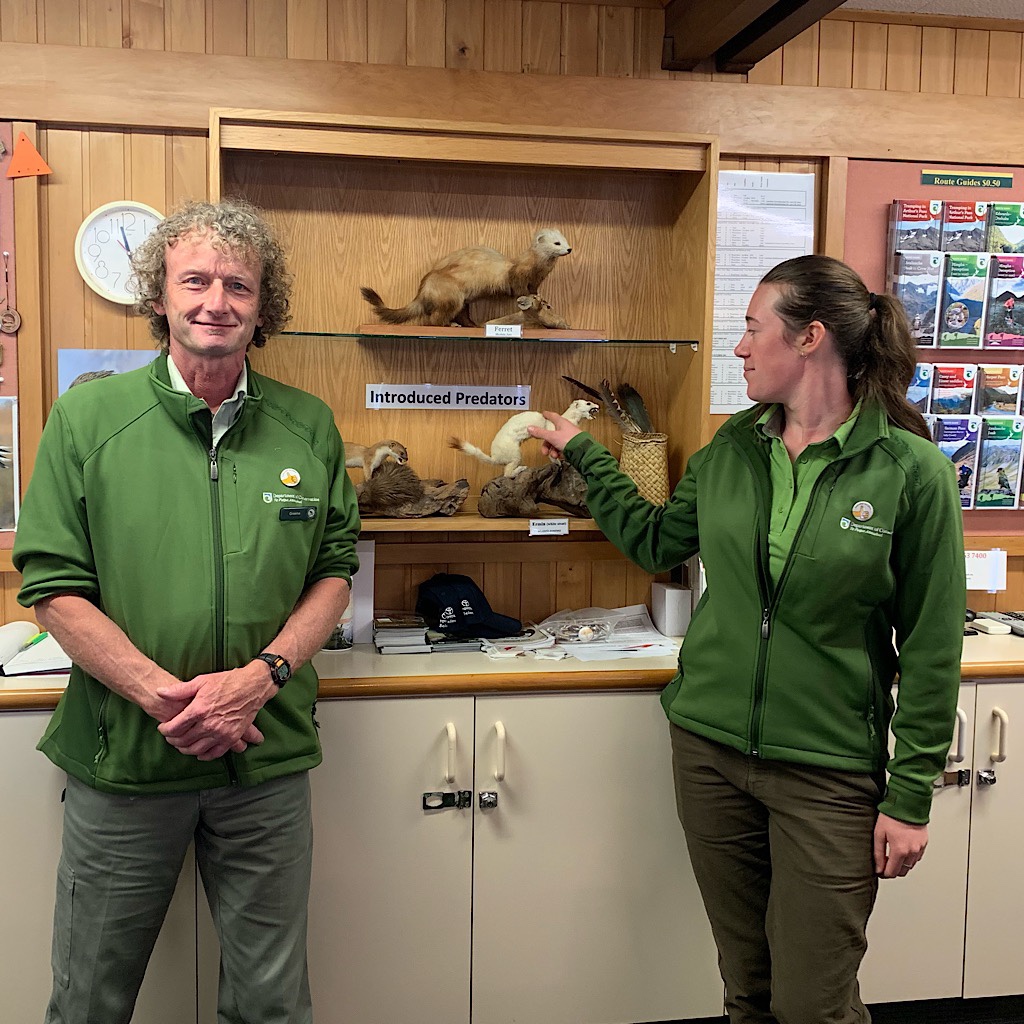The helpful DOC rangers at Arthur's Pass visitor center, one giving a stuffed stoat – one of the most destructive invasives – a little scratch.
