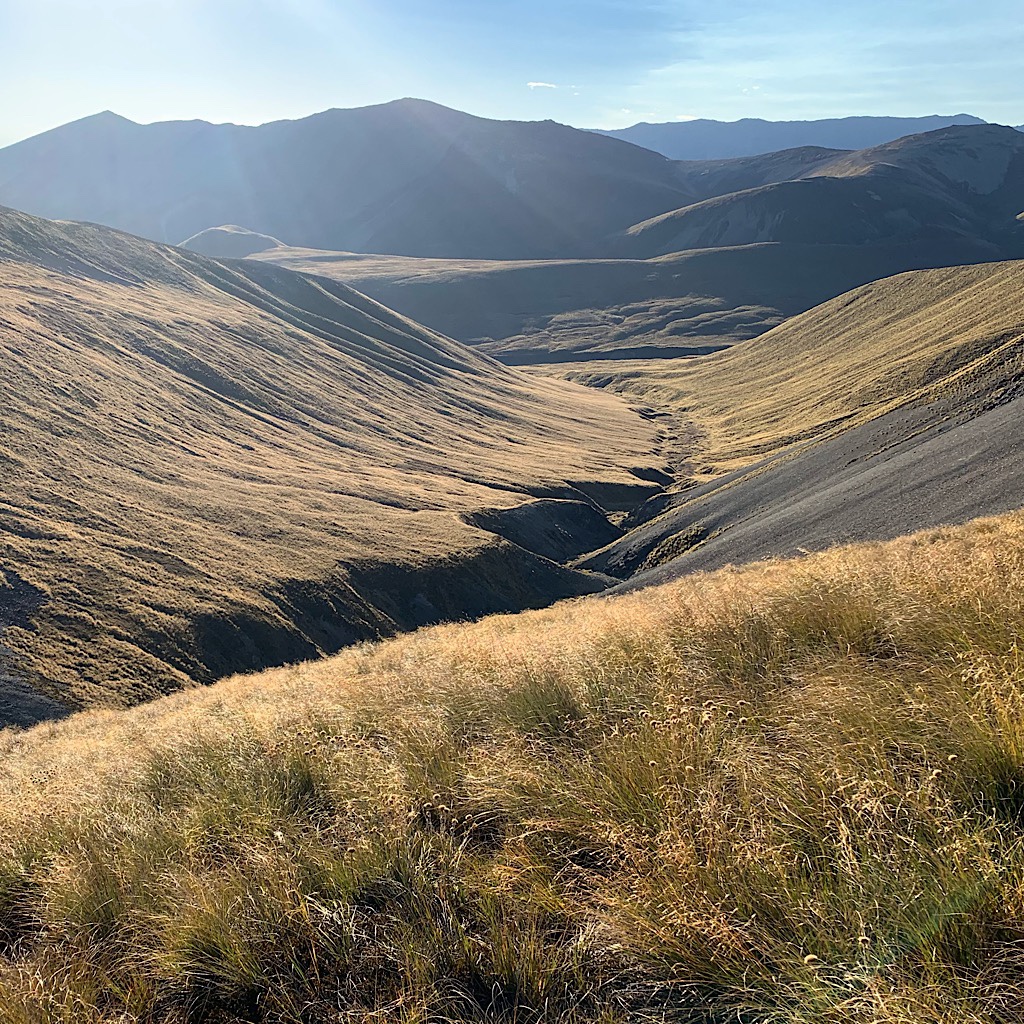The deep folds of tussock-covered land hiding the rushing rivers I followed up to the saddle on the Two Thumb Track. 