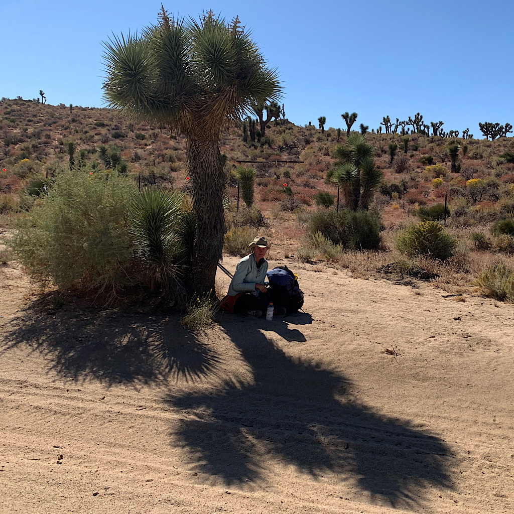 G-Punk almost gave up the trail one hot day in a grove of Joshua Trees. I tried to cheer them up and they repaid my attempts by unloading a whole pile of protein bars into my backpack – and gullet.