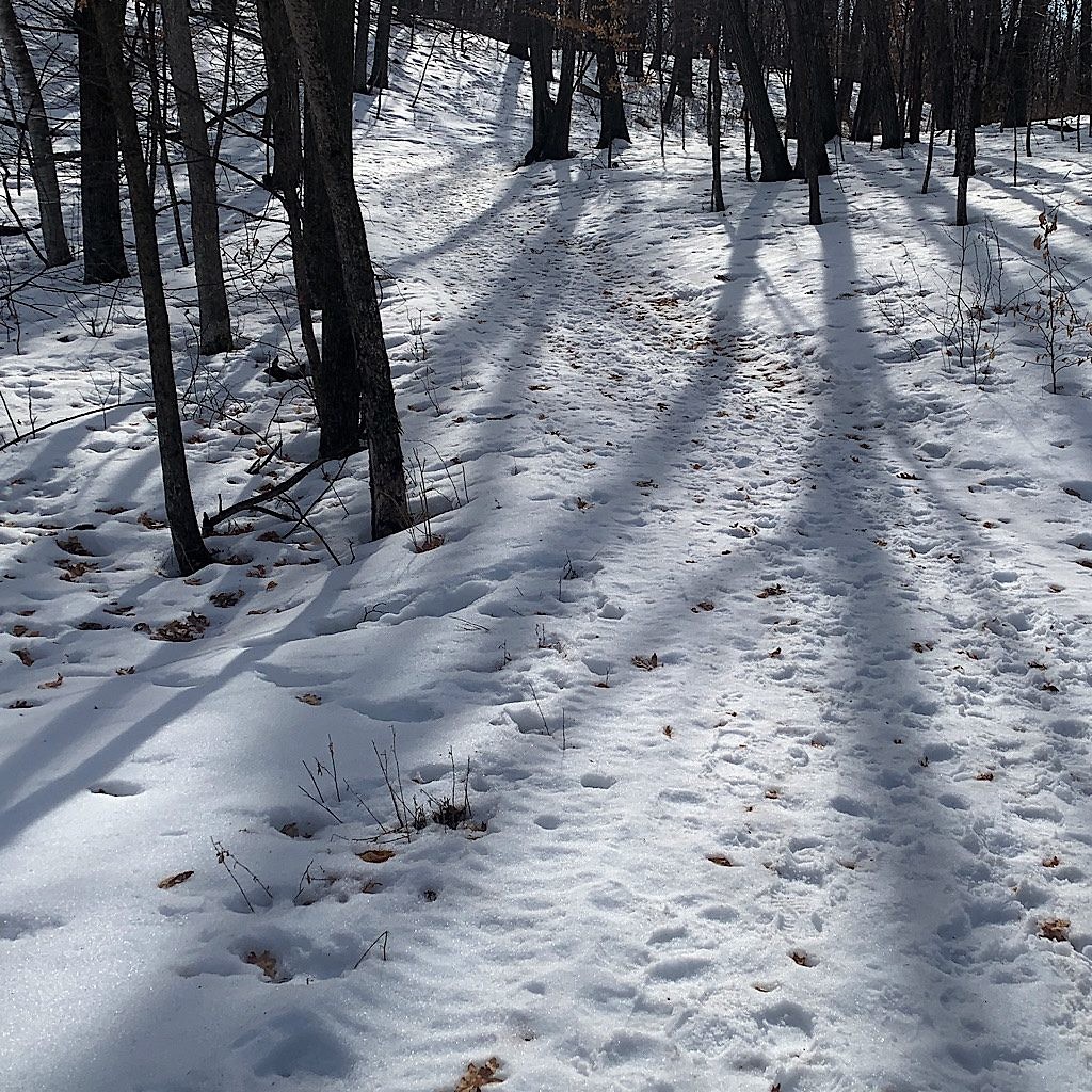 Footsteps in brown sugar snow. 