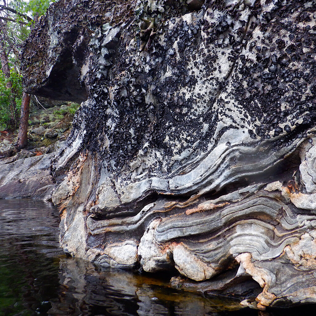 Gneissic Migmitite is the prevailing rock of Voyageurs, melted and bent here by earth's cataclysmic forces. 