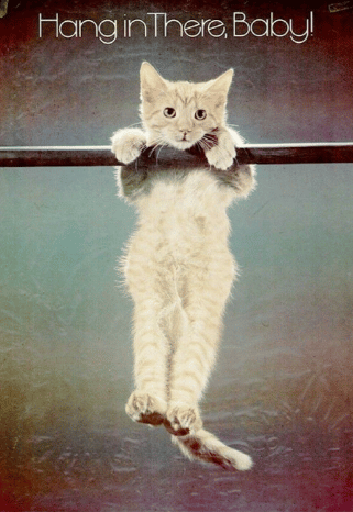 The "Hang in there, baby!" cat poster was a mantra of the 1970s.